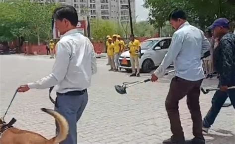 नोएडा के आधा दर्जन से ज्यादा स्कूलों को बम से उड़ाने की धमकी, सर्च ...