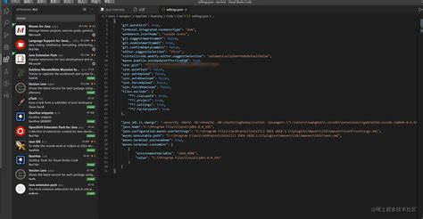 Maven with Java vs Code 的图像结果
