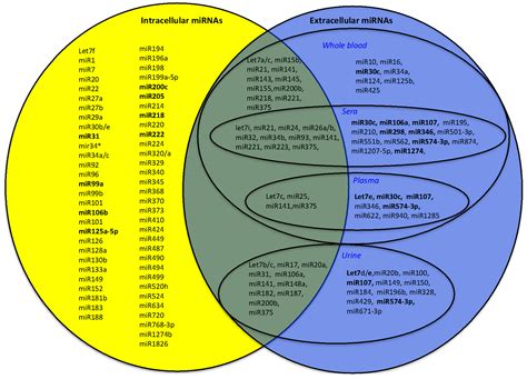 MicroRNAs as Biomarkers for Diagnosis, Prognosis and Theranostics in ...