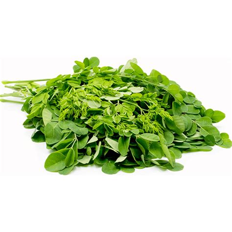 Murungai Keerai / Drums