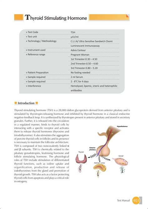 Thyroid Stimulating Hormone (tsh) Test Price Rs.210 | Thyrocare