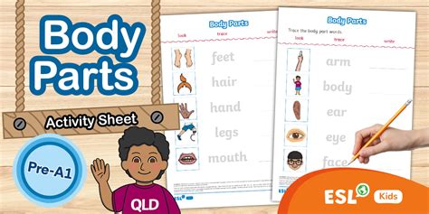 ESL Trace the Words Activity Sheet
