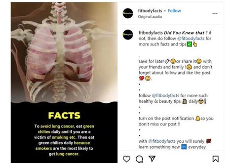 Fact check: Do chillies lower the risk of lung cancer? - THIP Media