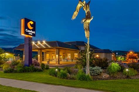 Nice stay - Review of Comfort Inn Bozeman near University, Bozeman ...