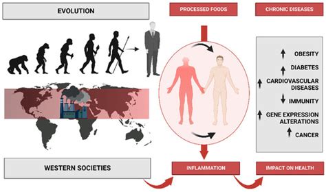 Global Impacts of Western Diet and Its Effects on Metabolism and Health ...