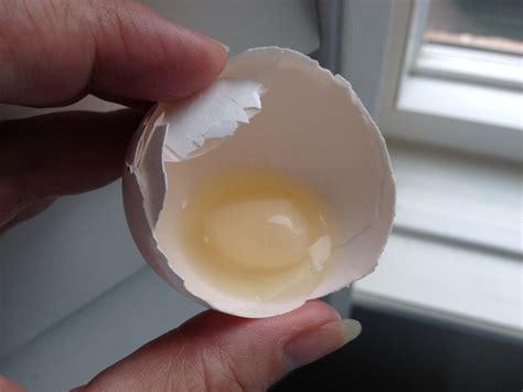 Mini Egg Inside a Regular-sized Egg | Urban Chicken Podcast