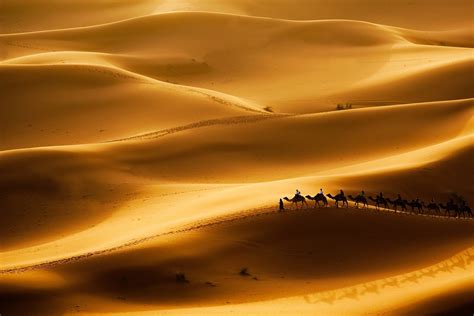 Sahara Desert Facts
