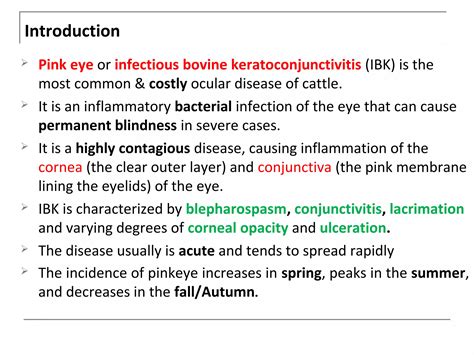 Pink eye or Infectious bovine keratoconjunctivitis | PPT