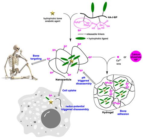 Polymers | Special Issue : Polymers for Drug Delivery System