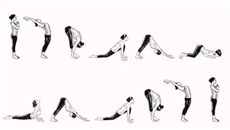 Surya Namaskar: The Ultimate Yoga Practice for a Healthy Body and Mind ...