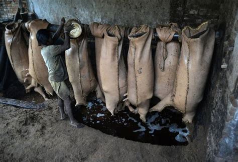 NGT orders closure of 19 tanneries in Jalandhar