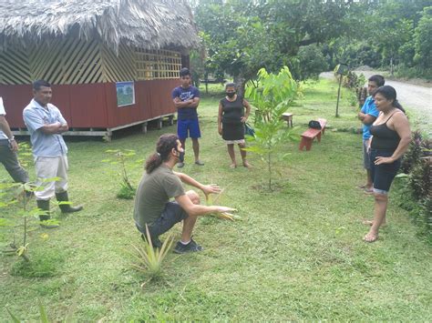 Agroforestry Systems 的图像结果