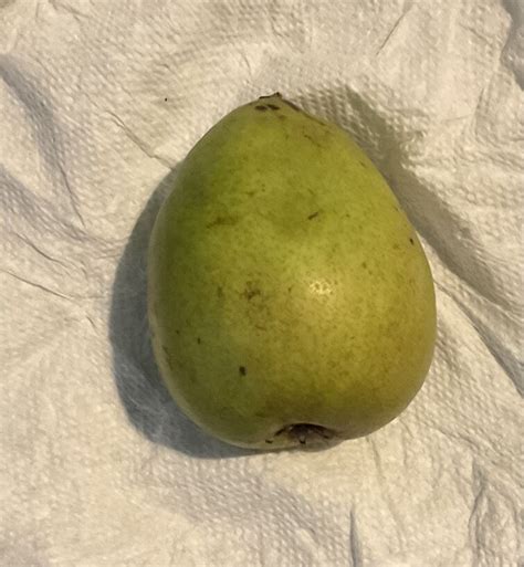 Image result for Bloxd Io Command Tutorial