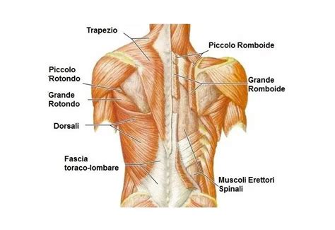 Image result for Science Fair Project Examples