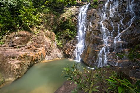Endau-Rompin National Park, Johor – A Journey into Malaysia’s Oldest Rainforest - MyTrip Malaysia