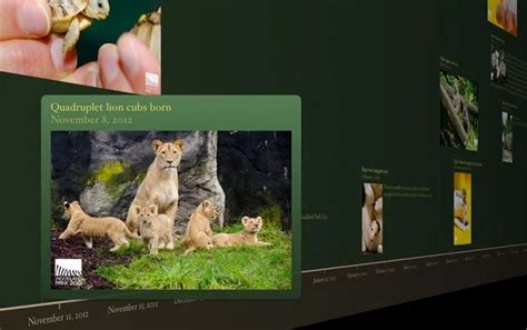 Image result for Digital Timeline Software