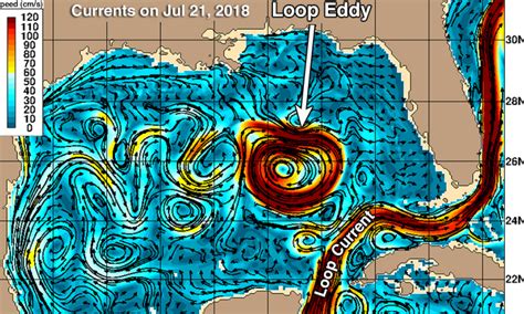 Image result for Loop Current