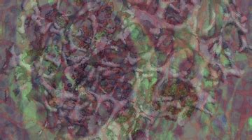 David Lab 的图像结果