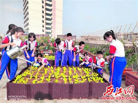 肇庆市创新推进劳动教育向纵深发展 劳动精神丰富孩子人生底色