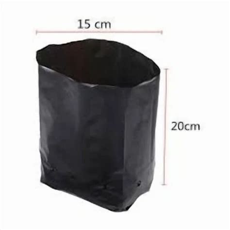 Nursery Bags - Black Ldpe Nursery Bag With Holes Trader - Wholesaler ...