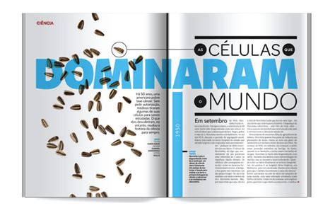 Image result for Alignment Design Principle Examples