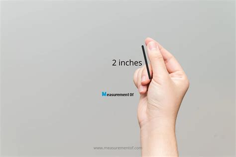 How Big Is 2 Inches: Compare With Common Objects