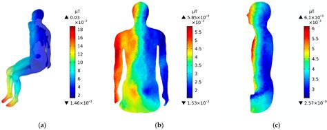 The Electromagnetic Exposure Level of a Pure Electric Vehicle Inverter ...