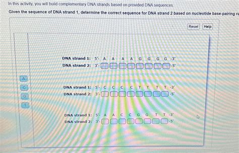 Image result for How to Make DNA Complementary Strands