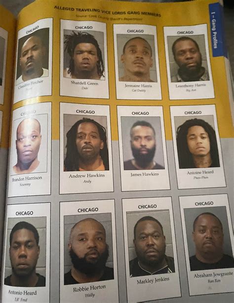 Chicago Gang Book Highlights (Almighty Vice Lord Nation ☪️ ️ 🐇) : r ...