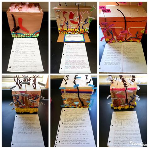 Tissue Box Projects 的图像结果