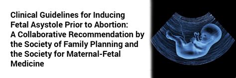 Clinical Guidelines for Inducing Fetal Asystole Prior to Abortion: A ...