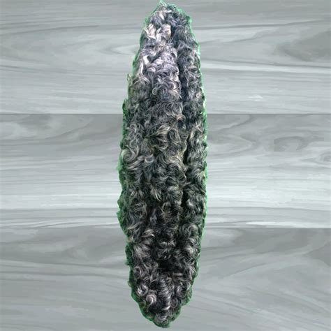 Karakul Cap Elegant Karakul Cap: Traditional and Timeless Fashion ...