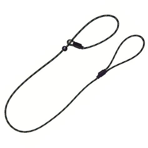Slip lead used for dog training