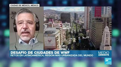 Ciudad de México gana el 'Desafío de Ciudades 2020' de WWF - Medio ...