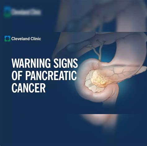 Symptoms Pancreas Problems The Power Of Your Pancreas | NIH News In