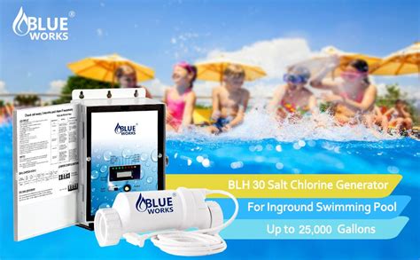 Blue Works Salt Generator Blw1t3h Manual 的图像结果
