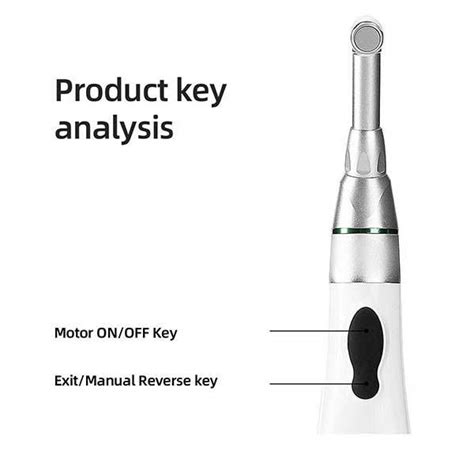 Waldent EndoPro LED All-In-One Endomotor – Waldent.com