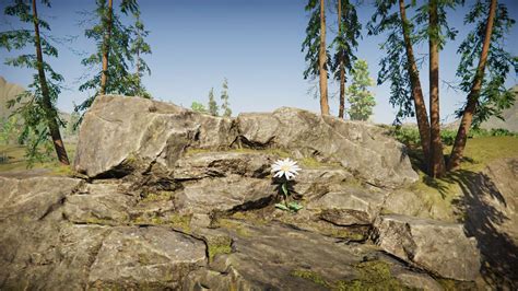 Image result for Flower Evolution Simulator