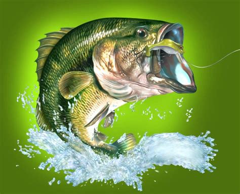 fish pictures bass
