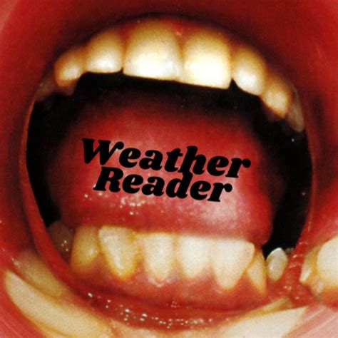 Image result for Weather Reader