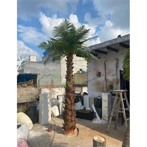 Artificial Palm Tree Manufacturers in Iraq