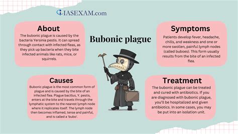 Bubonic plague UPSC Mind Map - Iasexam.com