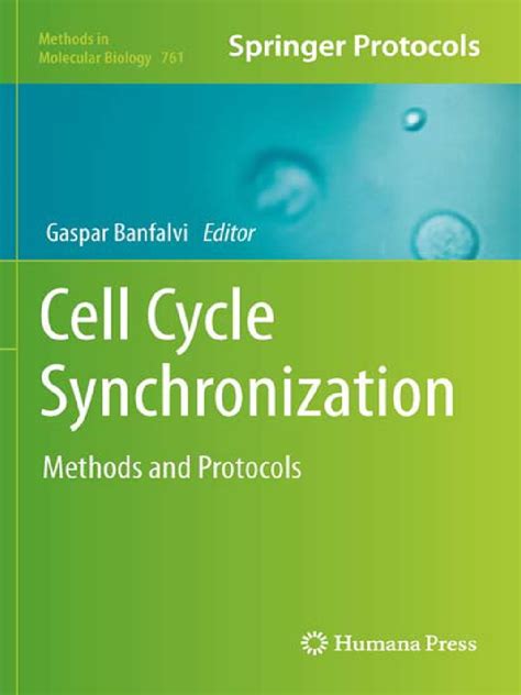 Image result for Cell Cycle Synchronization
