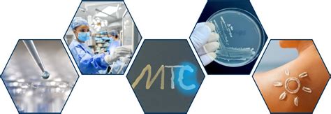 MTC Testing 的图像结果