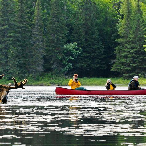 VOYAGEUR QUEST (2025) All You Need to Know BEFORE You Go (with Photos ...