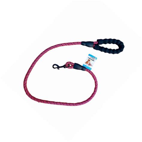 Laisse pour Chien avec Poignée Confortable et Bande Réfléchissante