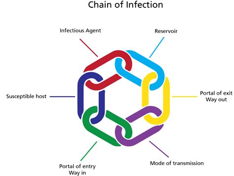 Chain Of Infection Description at Marie Cortez blog