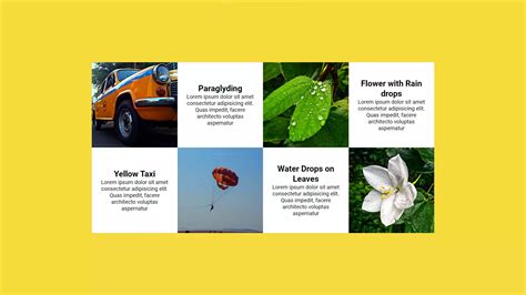 Image result for HTML Box Model Video Example