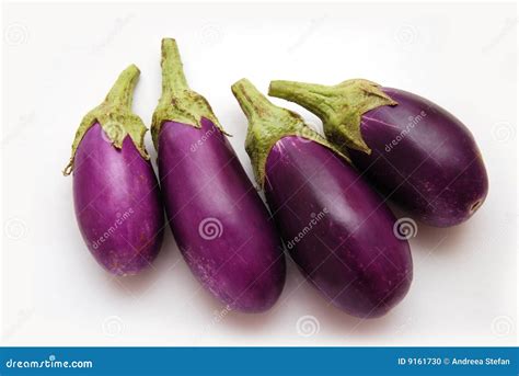 Purple Baby Eggplants stock photo. Image of baby, background - 9161730