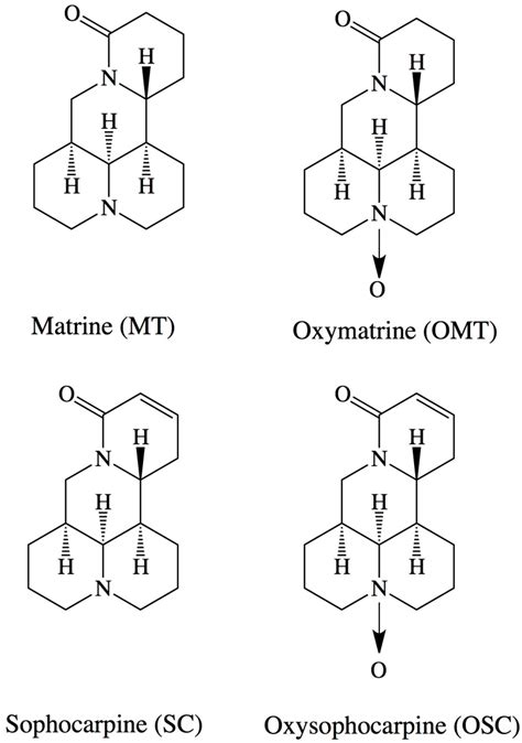 Synthesis of a Temperature-Sensitive Matrine-Imprinted Polymer and Its ...